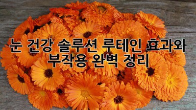 눈 건강 솔루션: 루테인 효과와 부작용 완벽 정리